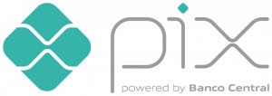 Pix - Novo meio de Pagamento que substitui o DOC e o TED