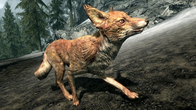 Raposa de Skyrim