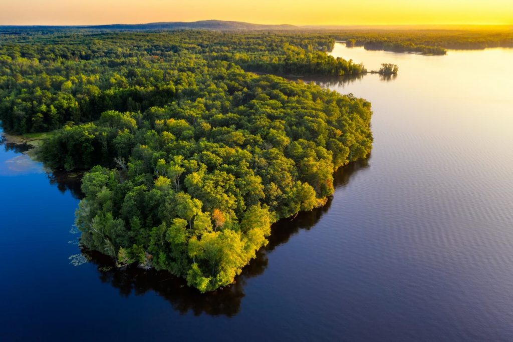 E podia? Agora você não pode mais vender a Amazônia no Facebook