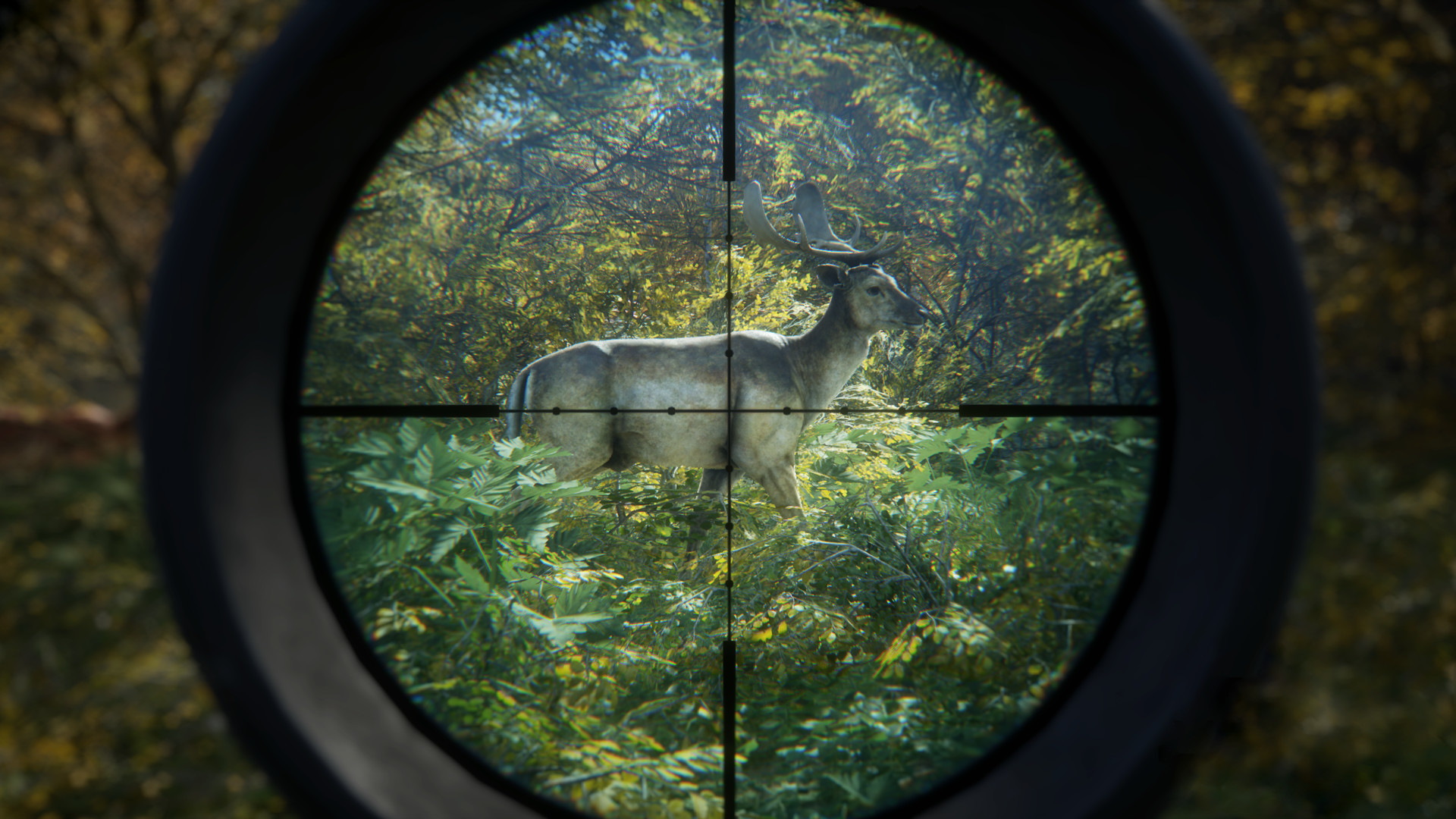 theHunter: Call of the Wild, novo jogo gratuito da Epic Games Store