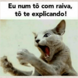 sticker Whatsapp 1 português gato