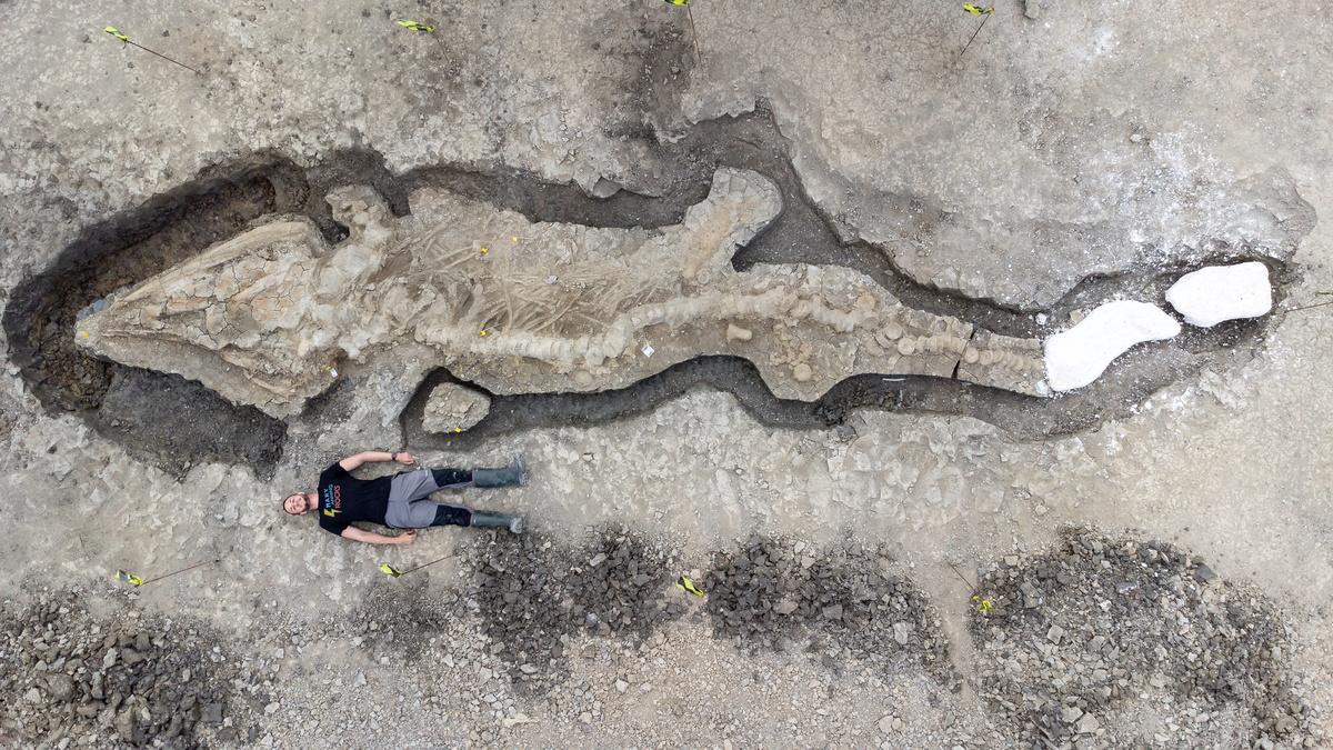 Imagens revelam fóssil de “dragão marinho” encontrado no Reino Unido