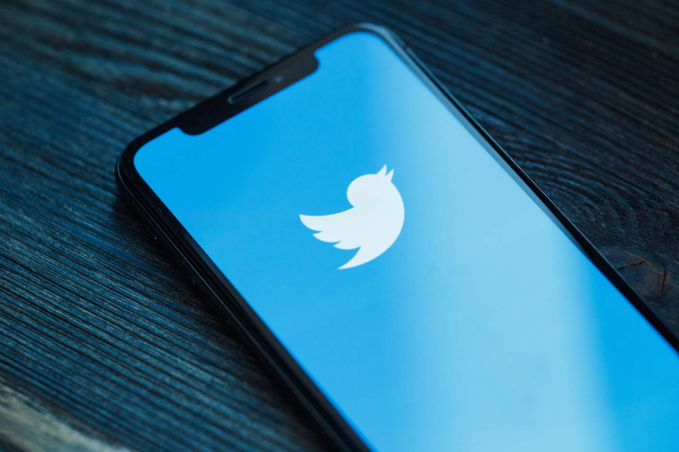 Twitter vai ganhar ligações de voz e vídeo ‘em breve’