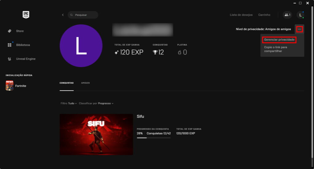 Como limitar quem vê as conquistas na Epic Games Store - Passo 2