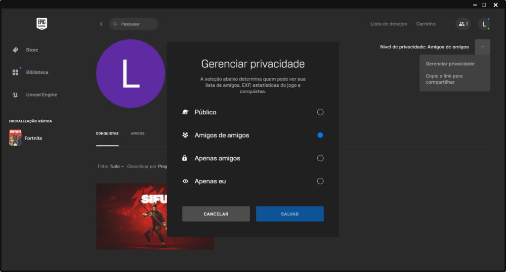 Como limitar quem vê as conquistas na Epic Games Store - Passo 3