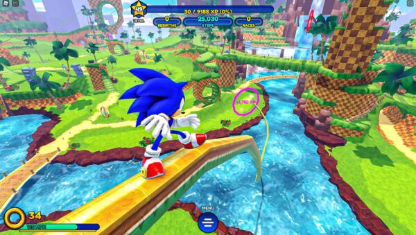 Sonic Speed Simulator