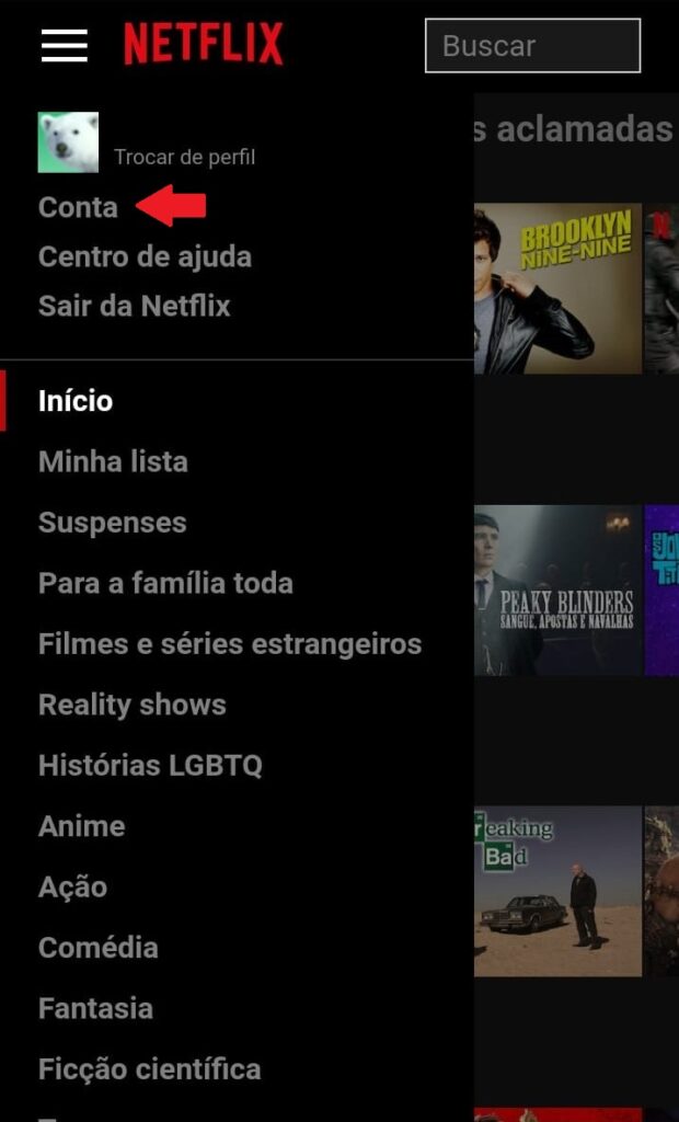 Tutorial Netflix