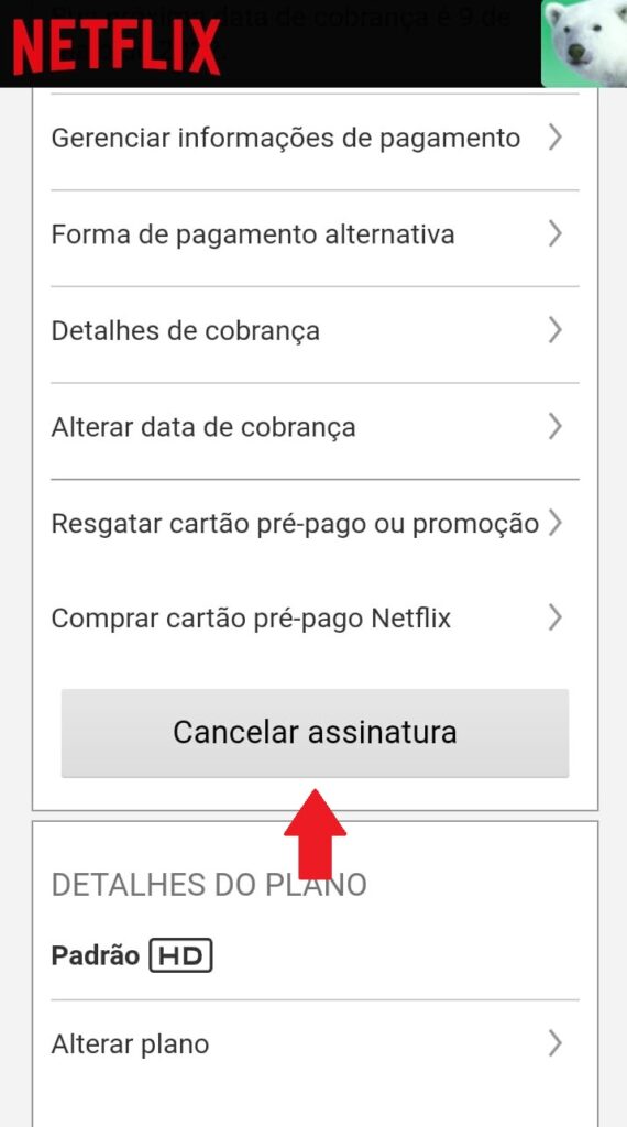 Tutorial Netflix 