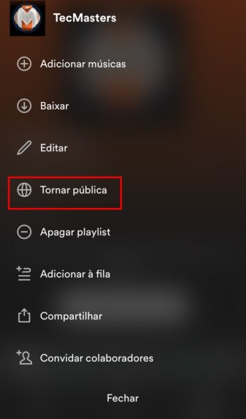 Captura de tela do Spotify para mostrar como tornar a playlist privada ou oculta