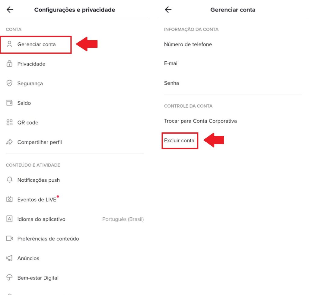 Como excluir sua conta do TikTok - Passo 2