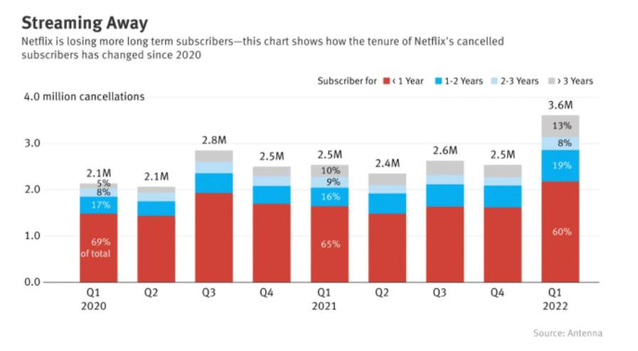 Dados Netflix