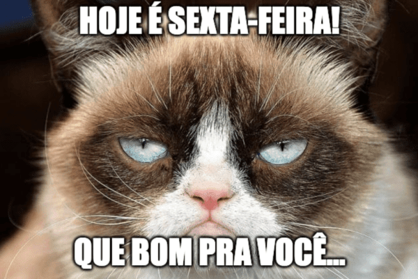 O meme do Grumpy Cat foi um dos mais famosos da internet nos anos 2010