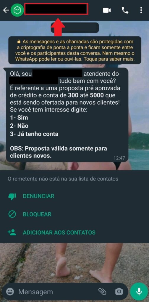 Como bloquear e denunciar mensagens de spam no WhatsApp - Passo 2