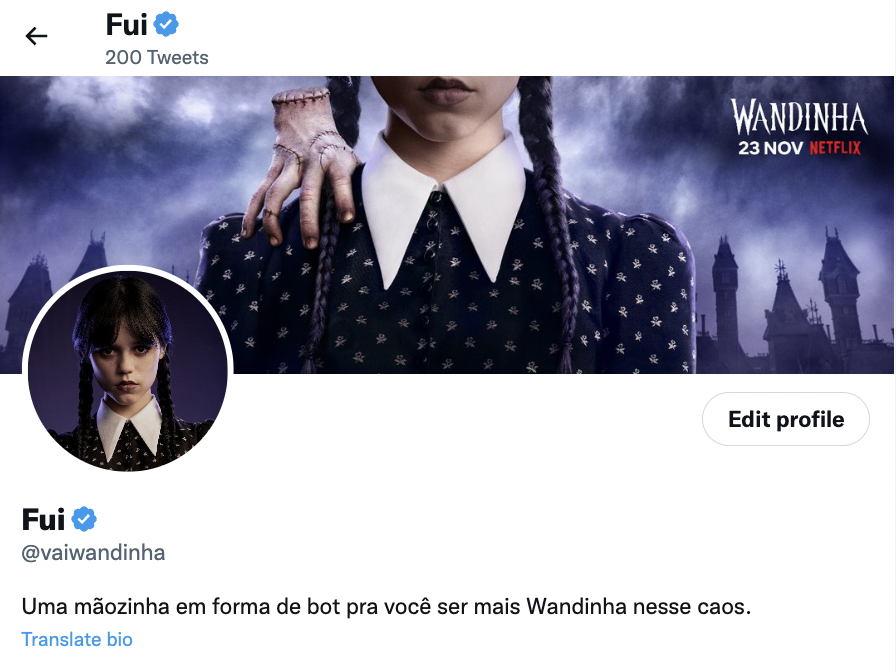 Imagem do perfil @vaiwandinha no Twitter