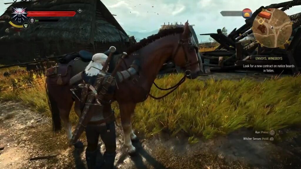 Carinho The Witcher 3