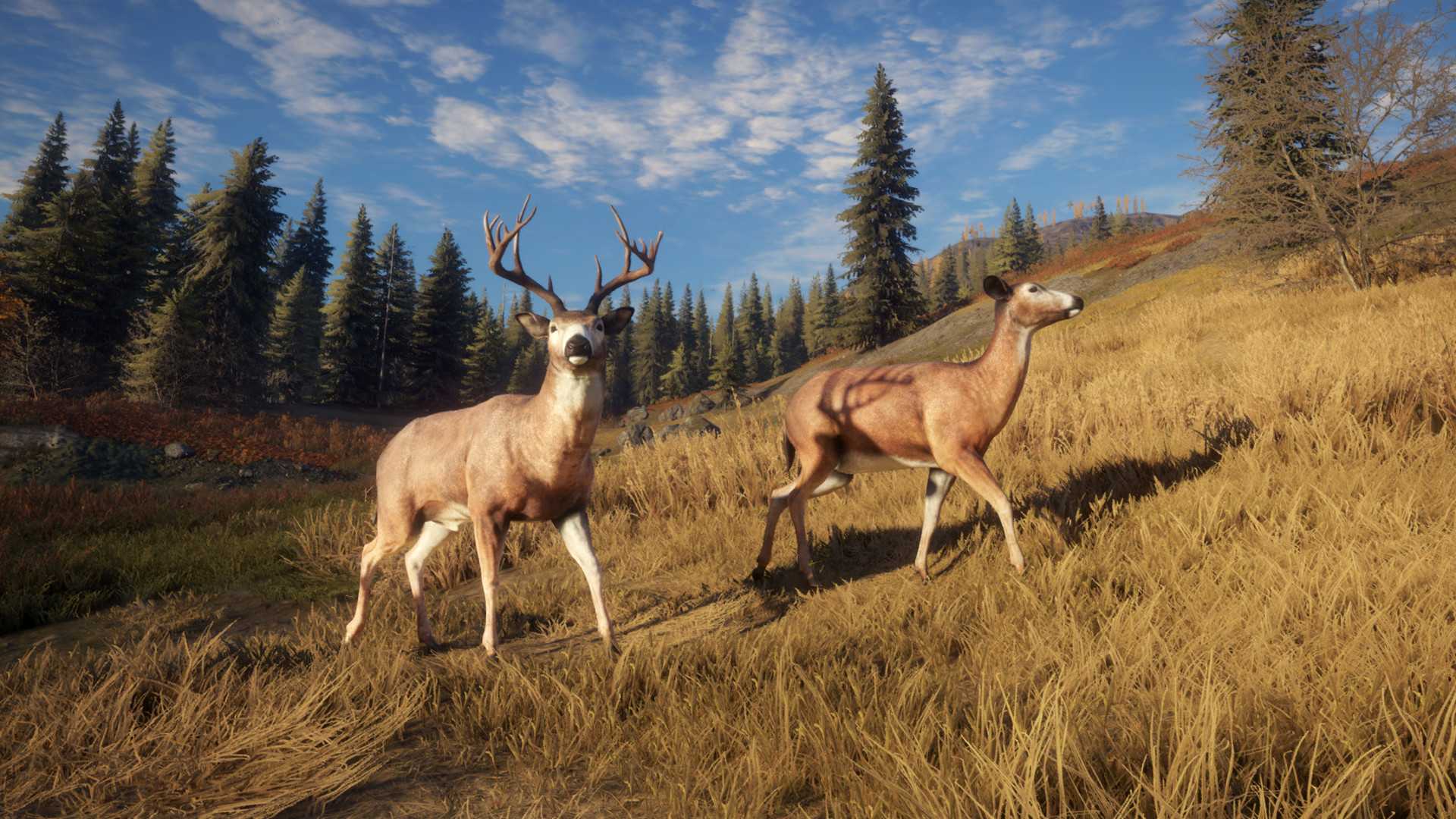 theHunter Call of the Wild, novo jogo gratuito da Epic Games Store