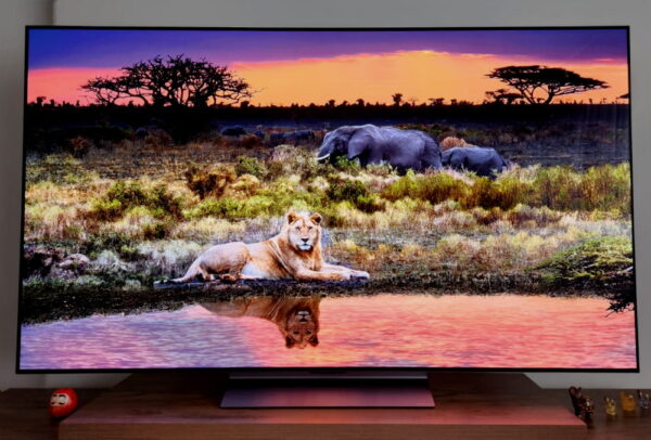 LG Oled EVO C3