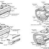 Joy Cons do Xbox? Nova patente revela possível formato de joystick para console
